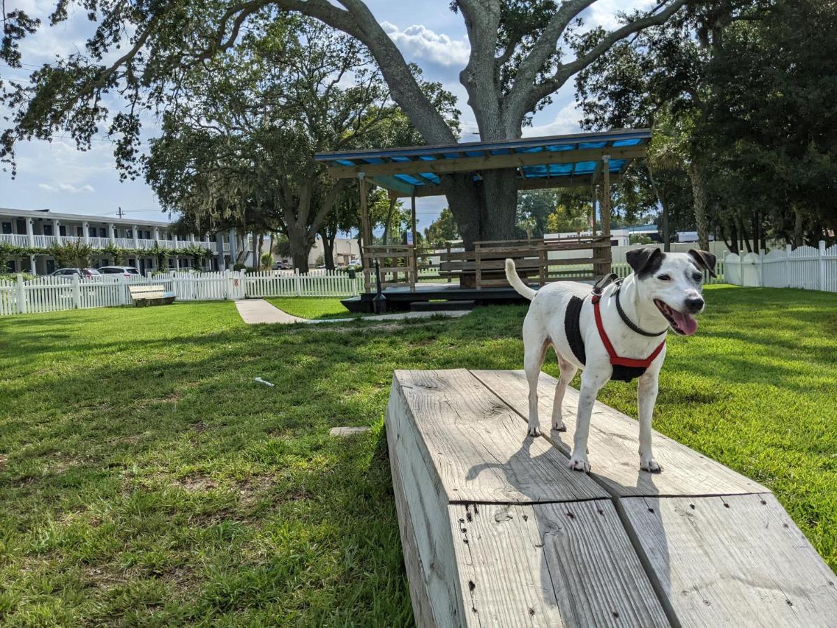Southern Oaks Inn - Saint Augustine Luaran gambar