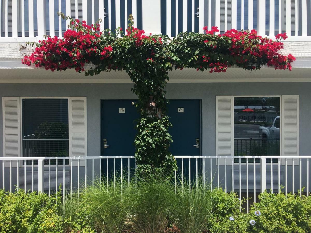 Southern Oaks Inn - Saint Augustine Luaran gambar
